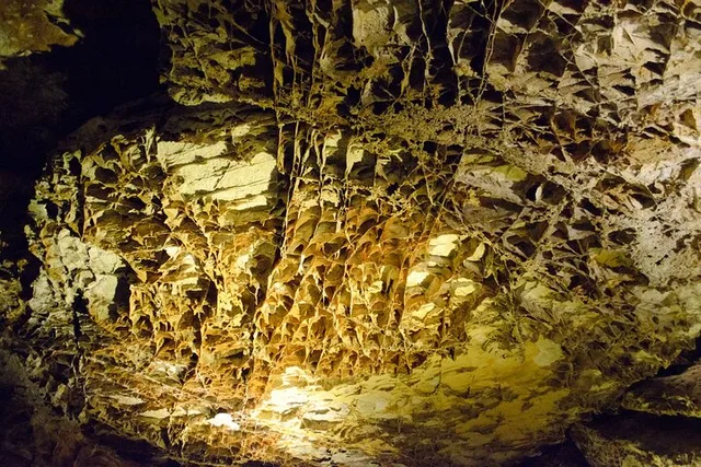 Southern Black Hills Wind Cave and Wildlife Tour - Image 4