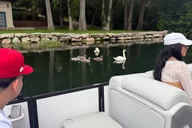 Austin Sunset Boat Cruise thumbnail 3