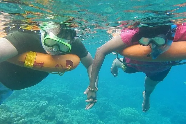 Key West Hop On Hop Off and Snorkeling Combo - Image 2