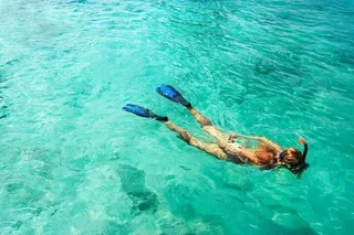 Fort Lauderdale Snorkel Tour at Jean Cousteau's Reef