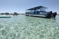 Destin Crab Island Charter thumbnail 3