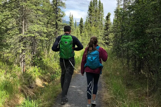 Denali Walking Tour with Naturalist Guide - Image 5