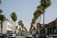 Los Angeles Bike Tour of Venice Beach and Canals thumbnail 1