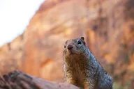 Zion and Bryce Canyon Hiking Tour 2 Days thumbnail 3
