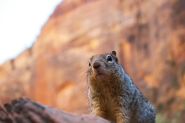 Zion and Bryce Canyon Hiking Tour 2 Days - Image 3