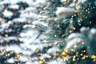 Franklin Christmas Lights Tour thumbnail 2