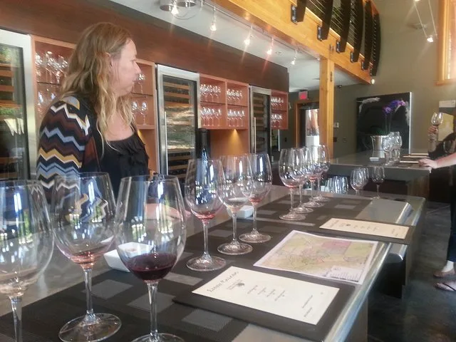 Paso Robles Wine Adventure with Pickup - Image 4