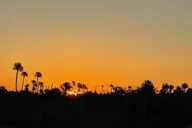 Kings Bay Sunset Cruise thumbnail 3