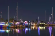San Francisco Christmas Lights Tour with Cider thumbnail 6