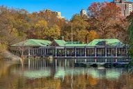 New York Central Park Carriage Ride thumbnail 6