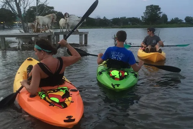 Myrtle Beach Kayak Tour on the Waccamaw River - Image 2