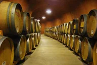 San Francisco Private Wine Tour in Napa and Sonoma 8 hr thumbnail 4