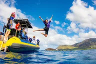 Oahu Dolphin Watching and Snorkel Safari thumbnail 4