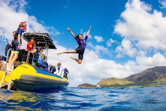 Oahu Dolphin Watching and Snorkel Safari - Image 4