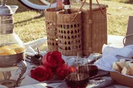 Orlando Picnic Experience thumbnail 6