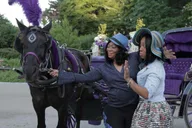 New York City Horse Carriage Tour in Central Park thumbnail 6