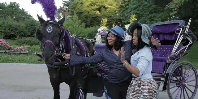 New York City Horse Carriage Tour in Central Park - Image 6