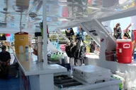 Key West Coral Reef Snorkeling Tour with Open Bar thumbnail 3