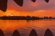 Clearwater Beach Dolphin Tour thumbnail 2