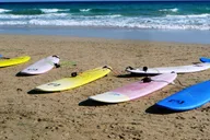 Cocoa Beach Surfboard Rental thumbnail 6