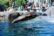 New York Central Park Zoo Admission with 4D Theater thumbnail 5