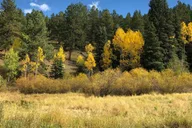 Denver Front Range Hiking Adventure thumbnail 4