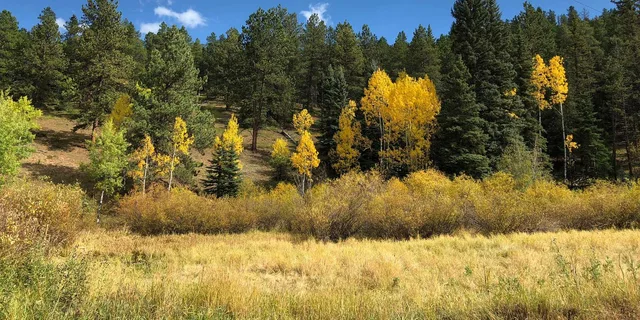 Denver Front Range Hiking Adventure - Image 4