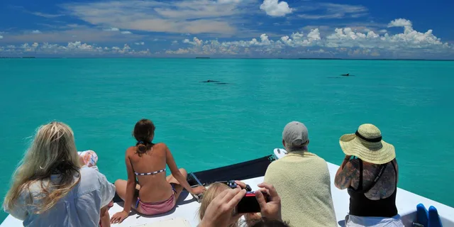 Key West Dolphin Watching and Snorkeling Eco Tour - Image 1