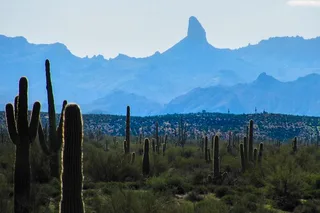Phoenix Hiking Tour in Superstition Mountains