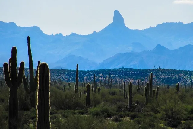 Phoenix Hiking Tour in Superstition Mountains - Image 1