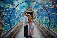 Las Vegas Shark Reef Aquarium Experience thumbnail 1