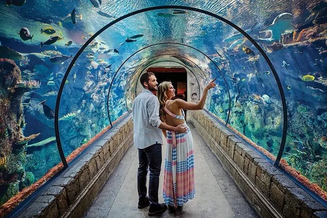 Las Vegas Shark Reef Aquarium Experience - Image 1