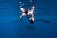Waianae Dolphin Swim and Snorkeling Safari thumbnail 2