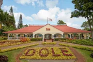 Oahu Circle Island Tour thumbnail 4