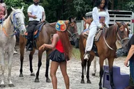 Miami Horseback Riding in South Beach 1 hr thumbnail 1