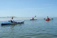 Fort Myers Kayak or SUP Rental 3hr thumbnail 5