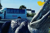 Miami Everglades Airboat Tour thumbnail 3