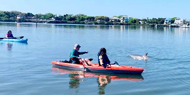 St. Augustine Dolphin and Manatee Paddle Tour 2 hr - Image 2
