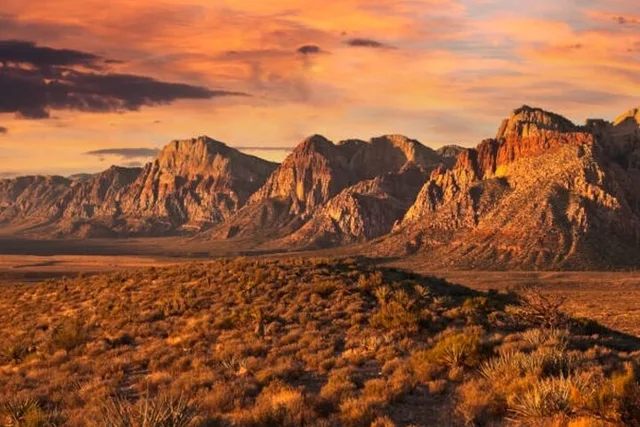 Las Vegas Hiking Tour at Spring Mountain 4 hr - Image 4