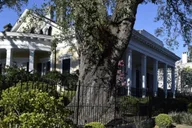 New Orleans Garden District Walking Tour thumbnail 5