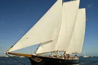 Key West Stargazing Cruise on Schooner America 2.0 thumbnail 6