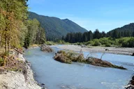 Olympic National Park Hoh Rain Forest and Rialto Beach Tour thumbnail 3