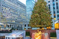 New York City Holiday Donut Tour thumbnail 5
