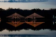 Charleston Holiday Festival of Lights Tour thumbnail 3
