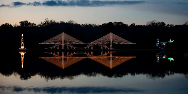 Charleston Holiday Festival of Lights Tour - Image 3