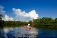 Marco Island Mangrove Tunnel Kayak Adventure thumbnail 4