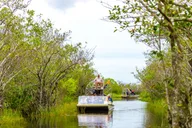 Miami Everglades Airboat Tour with Wildlife Show thumbnail 5