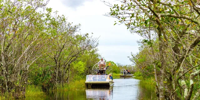 Miami Everglades Airboat Tour with Wildlife Show - Image 5
