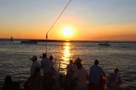 Destin Dolphin Cruise at Sunset 90 min thumbnail 6