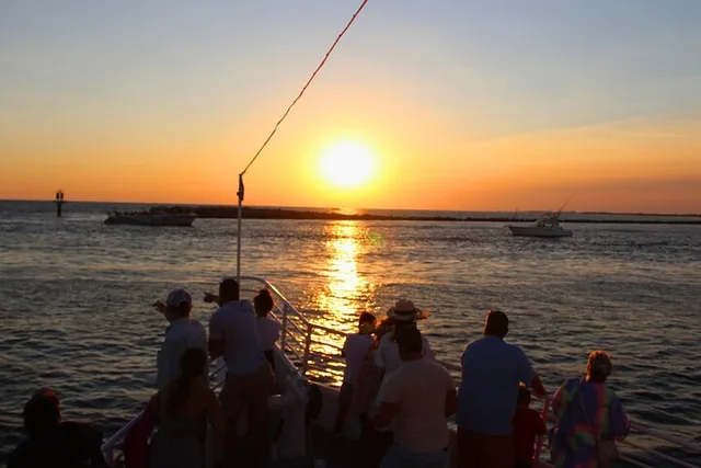 Destin Dolphin Cruise at Sunset 90 min - Image 6